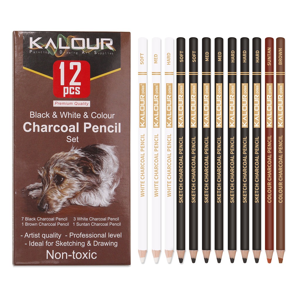 KALOUR Colored Charcoal Pencil - Chalk Pastel Set review and price