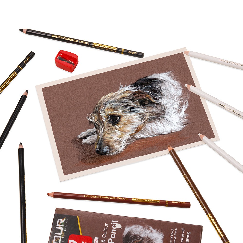 KALOUR Colored Charcoal Pencil - Chalk Pastel Set review and price